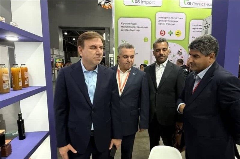 برنامهریزی برای صادرات مستقیم میگوی بوشهر به بازار روسیه / اخبار بوشهر - اخبار استانها