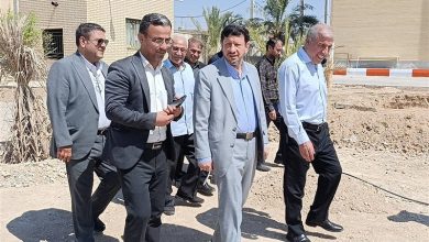 60 قاضی جدید به کادر قضایی استان بوشهر اضافه میشود / اخبار بوشهر - اخبار استانها