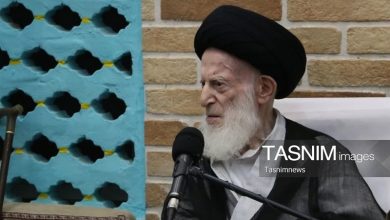 آیتالله العظمی شبیریزنجانی؛ چهرهای ماندگار در فقه، اصول و دانش رجال / اخبار مرکزی - اخبار استانها