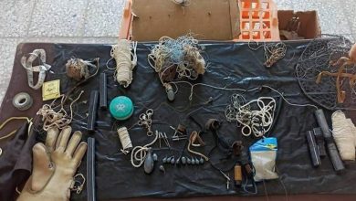 توقیف خودروی حامل حیاتوحش و ادوات شکار در بلوچستان / اخبار سیستان و بلوچستان - اخبار استانها