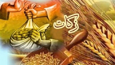 تحقق زکات در چهارمحال و بختیاری به بیش از 100 درصد میرسد / اخبار چهارمحال و بختیاری - اخبار استانها