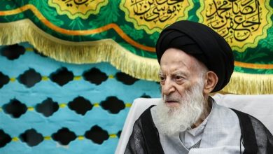 مروری بر زندگی و فعالیتهای علمی آیتالله شبیری زنجانی / اخبار قم - اخبار استانها