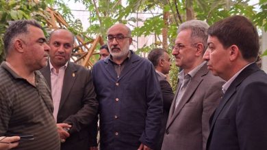 فرایند صدور مجوز گردشگری کشاورزی در ورامین تسهیل میشود / اخبار استان تهران - اخبار استانها