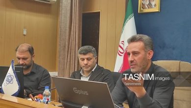 نبض نشاط در زنجان؛ دومین شادواره شهروندی با رویکرد خانوادهمحور / اخبار زنجان - اخبار استانها