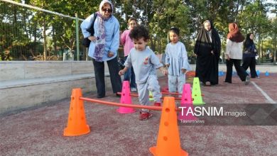 پرونده دومین «شادواره شهروندی» زنجان بسته شد / اخبار زنجان - اخبار استانها