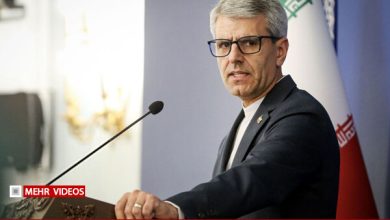 بقایی: جنایات رژیم صهیونیستی در فلسطین و لبنان همچنان ادامه دارد