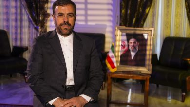 استاندار فارس: اتحاد و همدلی، پیروزی را تثبیت میکند / اخبار فارس - اخبار استانها