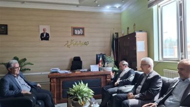 تقویت اعتبارات دامپزشکی و صیانت از دام تا امنیت غذایی پایدار / اخبار اردبیل - اخبار استانها