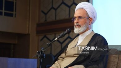 آیتالله اعرافی: نرمافزار اداره جامعه اسلامی باید از فقه استخراج شود / اخبار قم - اخبار استانها
