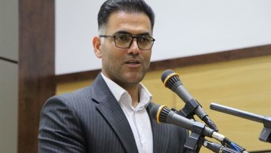 روزانه 50 تن سیبزمینی برای بازار همدان تامین میشود / اخبار همدان - اخبار استانها