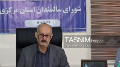 برنامهریزی برای استفاده از تجربه سالمندان در نقشآفرینی اجتماعی / اخبار مرکزی - اخبار استانها