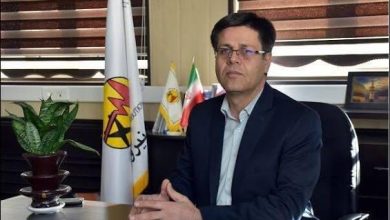 مدیرعامل توانیر: تولید برق بدون مشکل است، به شرط تامین سوخت نیروگاهها / توانیر , تولید برق , سوخت نیروگاهها , زمستان , انرژی