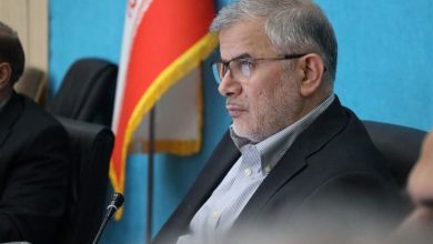 مشاغل قدیمی روستاها باید دوباره احیا شوند / اخبار البرز - اخبار استانها