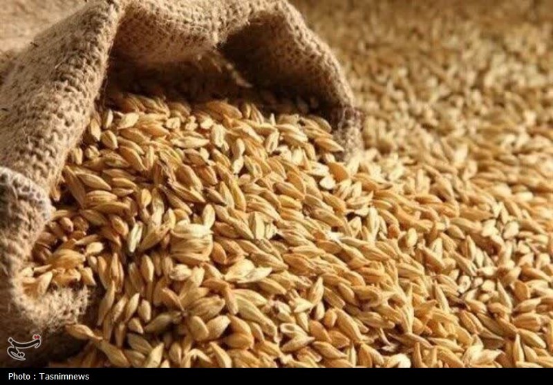 تداوم خرید تضمینی گندم در سیلوهای دولتی خراسان رضوی تا پایان مهر / اخبار خراسان رضوی - اخبار استانها