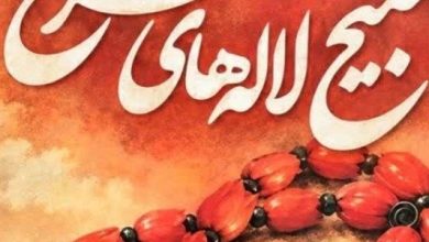 کتاب ' تسبیح لالههای سرخ' در گلستان رونمایی میشود / اخبار گلستان - اخبار استانها