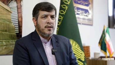 مدارس سراسر کشور، فردا به ساحت امام رضا (ع) عرض ادب میکنند / اخبار خراسان رضوی - اخبار استانها