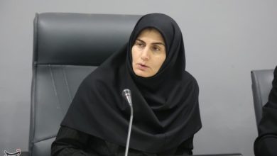 عرضه نان سنگک با آرد کامل در زنجان/ استفاده از نایلون ممنوع شد / اخبار زنجان - اخبار استانها