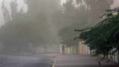 تداوم گردوخاک و وزش باد در شرق و شمال یزد تا سهشنبه / اخبار یزد - اخبار استانها