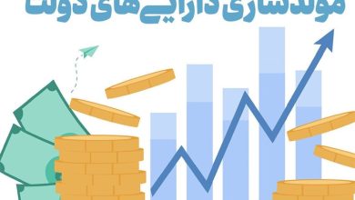 گزارش از عملکرد دستگاههای اجرایی در حوزه مولدسازی در سال 1404 / اخبار سیاسی روز , اخبار دولت