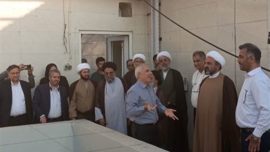 تداوم تولید لارو میگو در تنگستان با وجود آسیبهای جنگی / اخبار بوشهر - اخبار استانها