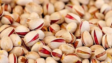 طلای سبز فارس در مسیر بازارهای جهانی/ 80 درصد پسته استان صادر میشود / اخبار فارس - اخبار استانها
