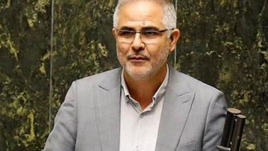 ایری: قانون واگذاری 330 هزار هکتار زمین مسکن اجرا نشده است / اخبار سیاسی روز , اخبار دولت