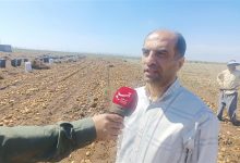 ذخیره 80 هزار تن سیبزمینی در اردبیل برای فصل زمستان / اخبار اردبیل - اخبار استانها