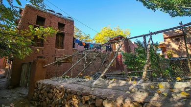 روستای تاریخی ابیانه میزبان جشنواره 'حرکت و برکت'/تشکیل کمیته 5گانه / اخبار کاشان - اخبار استانها