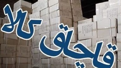 کشف 2 محموله کالای قاچاق به ارزش 20 میلیارد تومان در بوشهر / اخبار بوشهر - اخبار استانها