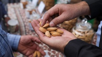 سومین جشنواره ملی بادام در شهر بن برگزار شد + تصاویر / اخبار چهارمحال و بختیاری - اخبار استانها