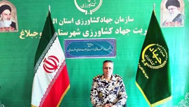 شناسایی 1777 مورد تغییر کاربری غیرمجاز در ساوجبلاغ / اخبار البرز - اخبار استانها