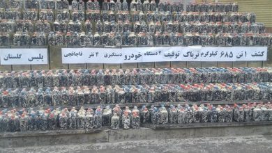 افزایش 28 درصدی و کشف 4 تن موادمخدر در گلستان / اخبار گلستان - اخبار استانها