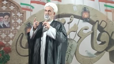 218 شب ایستادگی مردم سیلی محکمی به دشمن بود / اخبار استان تهران - اخبار استانها