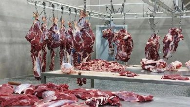 کاهش چشمگیر واردات گوشت قرمز؛ تولید داخلی پاسخگوی نیاز بازار است / واردات گوشت , تولید داخلی , انجمن واردکنندگان گوشت , بازار گوشت , قیمت گوشت