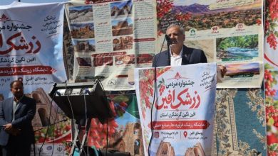افین؛ قطب گردشگری زرشک ایران با تکمیل زنجیره ارزش این محصول / اخبار خراسان جنوبی - اخبار استانها