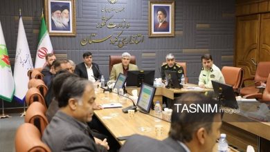 شناسایی و امحای بیش از یک میلیون بوته خشخاش/دستگیری 1292 نفر / اخبار کردستان - اخبار استانها