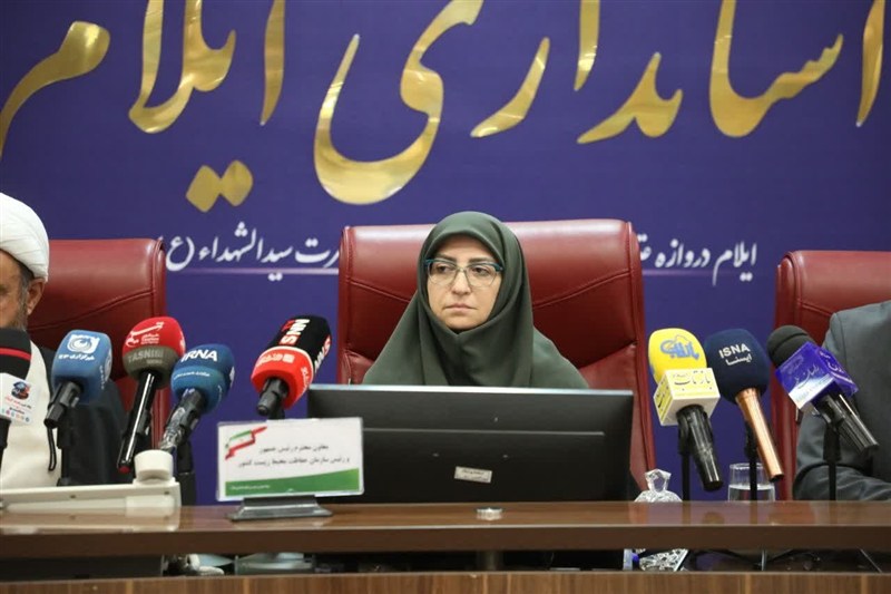 انصاری: خسارتهای حملات آمریکا به محیط زیست را بینالمللی میکنیم / اخبار ایلام - اخبار استانها