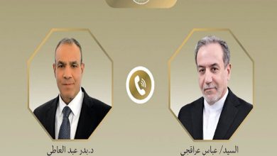 رایزنی تلفنی عراقچی با وزیر خارجه مصر