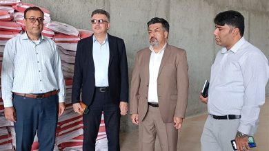 اجرای طرح تغذیه تکمیلی دام در دشتستان با هدف افزایش بهرهوری / اخبار بوشهر - اخبار استانها
