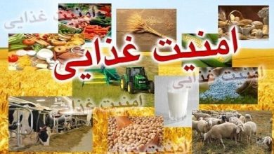 عضو کمیسیون کشاورزی مجلس: وابستگی ۹۰ درصدی به واردات نهادهها، تولید داخلی را تضعیف میکند / امنیت غذایی , واردات نهاده , مدیریت منابع آبی , کمیسیون کشاورزی مجلس , تولید داخلی