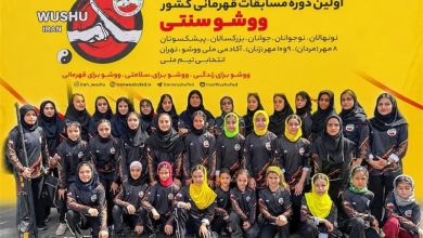 درخشش تاریخی ووشوی بانوان یزد با 41 مدال در رقابتهای کشوری / اخبار یزد - اخبار استانها