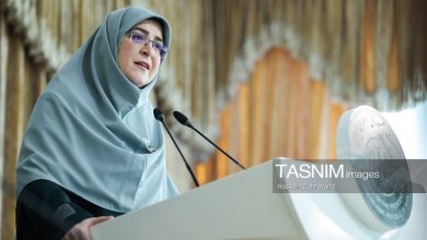 مهاجرانی: دولت با تمام توان برای کاهش فشارهای اقتصادی تلاش میکند / اخبار سیاسی روز , اخبار دولت