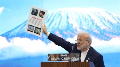 نمایش تصویر امام شهید و نوه 14 ماهه ایشان در نشست بینالمجالس جهانی / اخبار سیاسی روز , اخبار مجلس