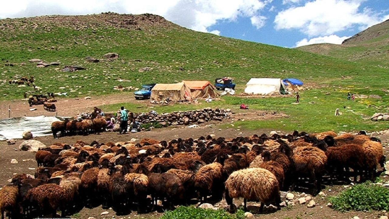 امضای تفاهمنامه همکاری برای تسهیل دسترسی جامعه عشایری به خدمات حقوقی / خدمات حقوقی , جامعه عشایری , تفاهمنامه همکاری , سازمان امور عشایر , مرکز وکلا