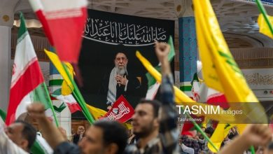 برنامههای حرم بانوی کرامت در هفته وفات امامزاده موسی مبرقع(ع) / اخبار قم - اخبار استانها