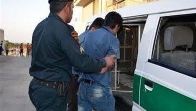 توقیف2کامیون مرتبط باپرونده کلاهبرداری کلان فروش خودروی سنگین دربردسیر / اخبار کرمان - اخبار استانها