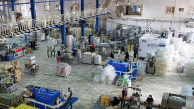مهار بیکاری و جهش تولید در دستور کار تعاونیهای تولیدی استان بوشهر / اخبار بوشهر - اخبار استانها