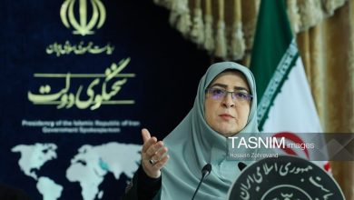 مهاجرانی: تحریف تاریخ از شکوه ملت ایران نمی کاهد / اخبار سیاسی روز , اخبار دولت