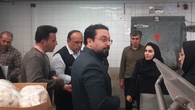 پلمب واحد فرآوردههای گوشتی در شاهرود پس از شکایتهای مردمی / اخبار سمنان - اخبار استانها
