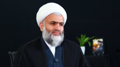 صلحمیرزایی: آمریکا با کمک اروپا هم نتوانست ایران را به زانو در بیاورد / اخبار سیاسی روز , اخبار سیاست داخلی